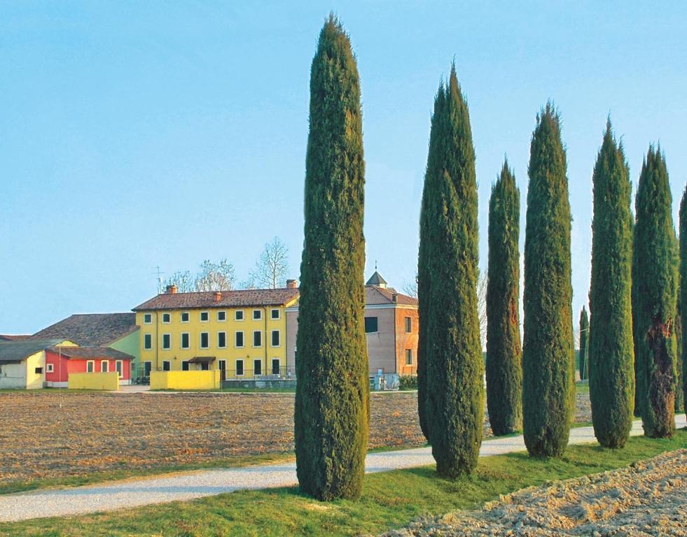Bb Mambrotta Guest House San Martino Buon Albergo Eksteriør bilde