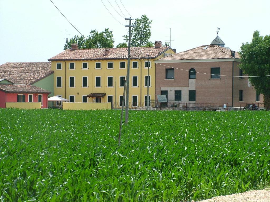 Bb Mambrotta Guest House San Martino Buon Albergo Eksteriør bilde